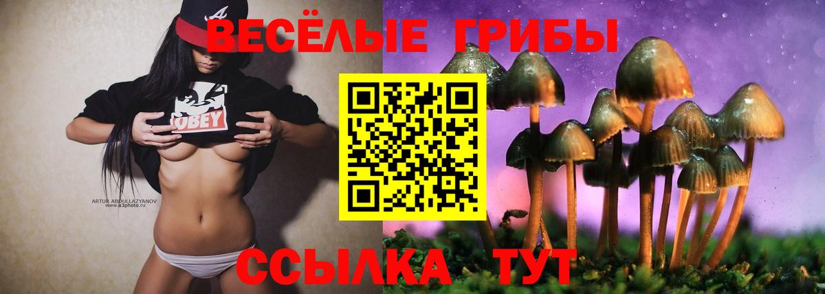 Галлюциногенные грибы ЛСД Верхняя Салда